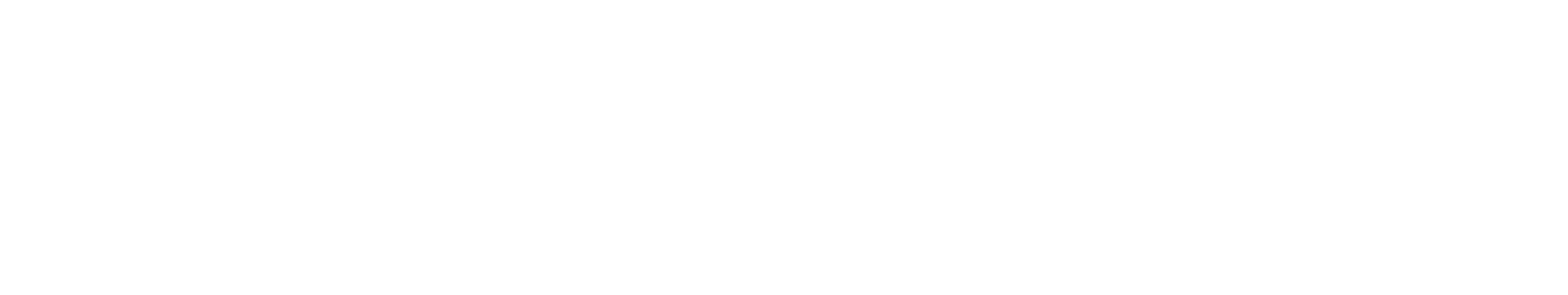Fitnessforce Logo